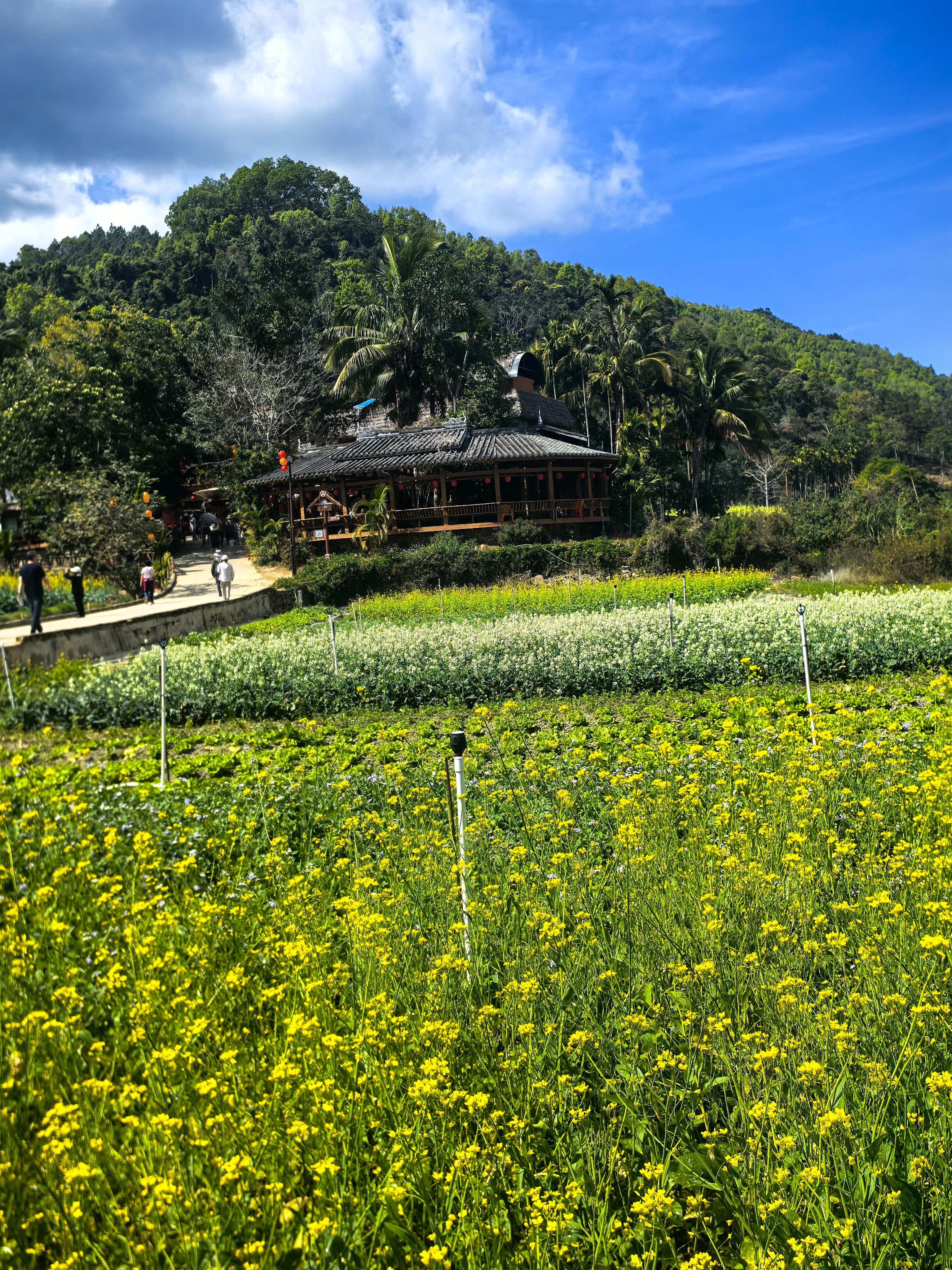 海南六大特色景点介绍