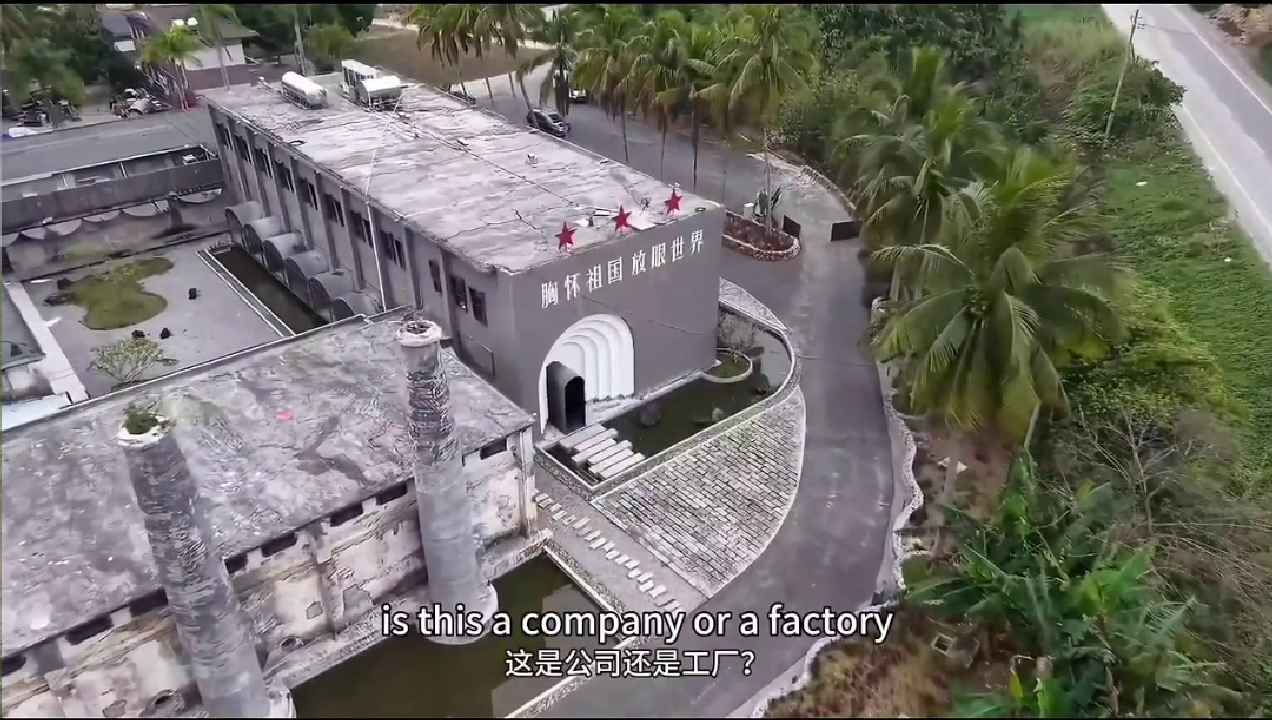  国际人才体验民宿