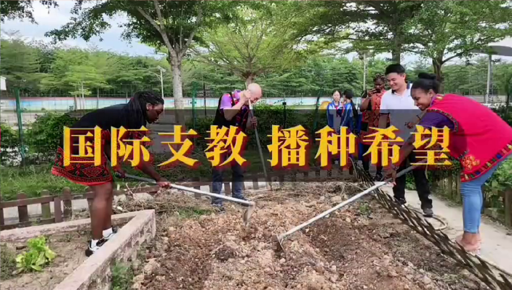 国际支教播种紫玉米