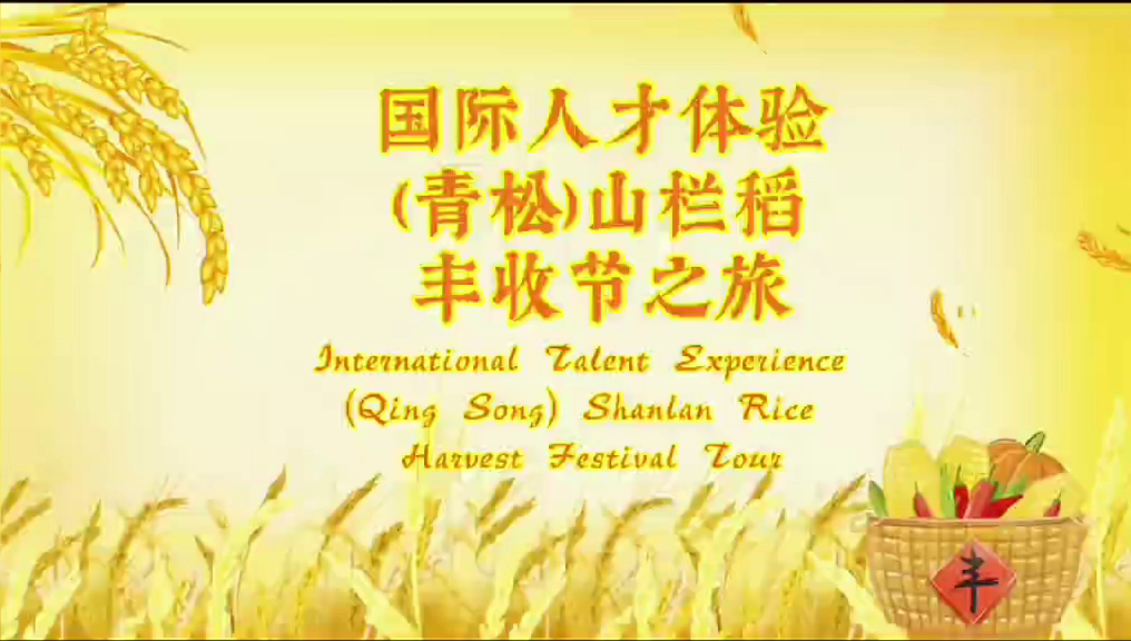 国际人才在白沙青松