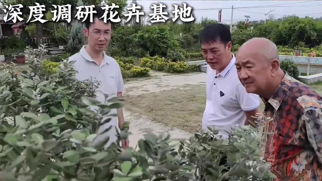国际人才考察湖北东宝产业