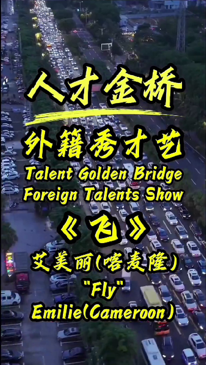 外籍人才演唱-飞